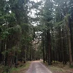 Super Location In Frankfurt Am Main
